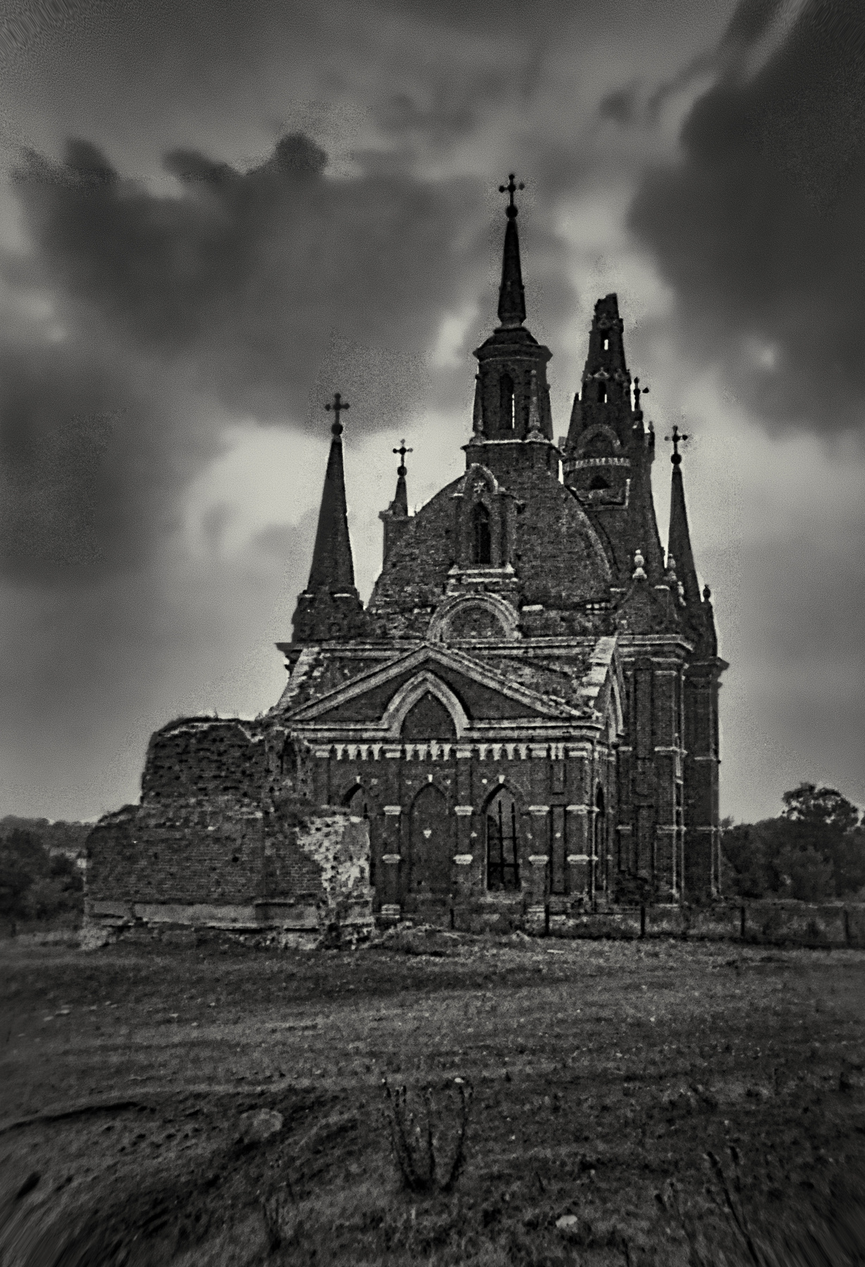 *** плёнка