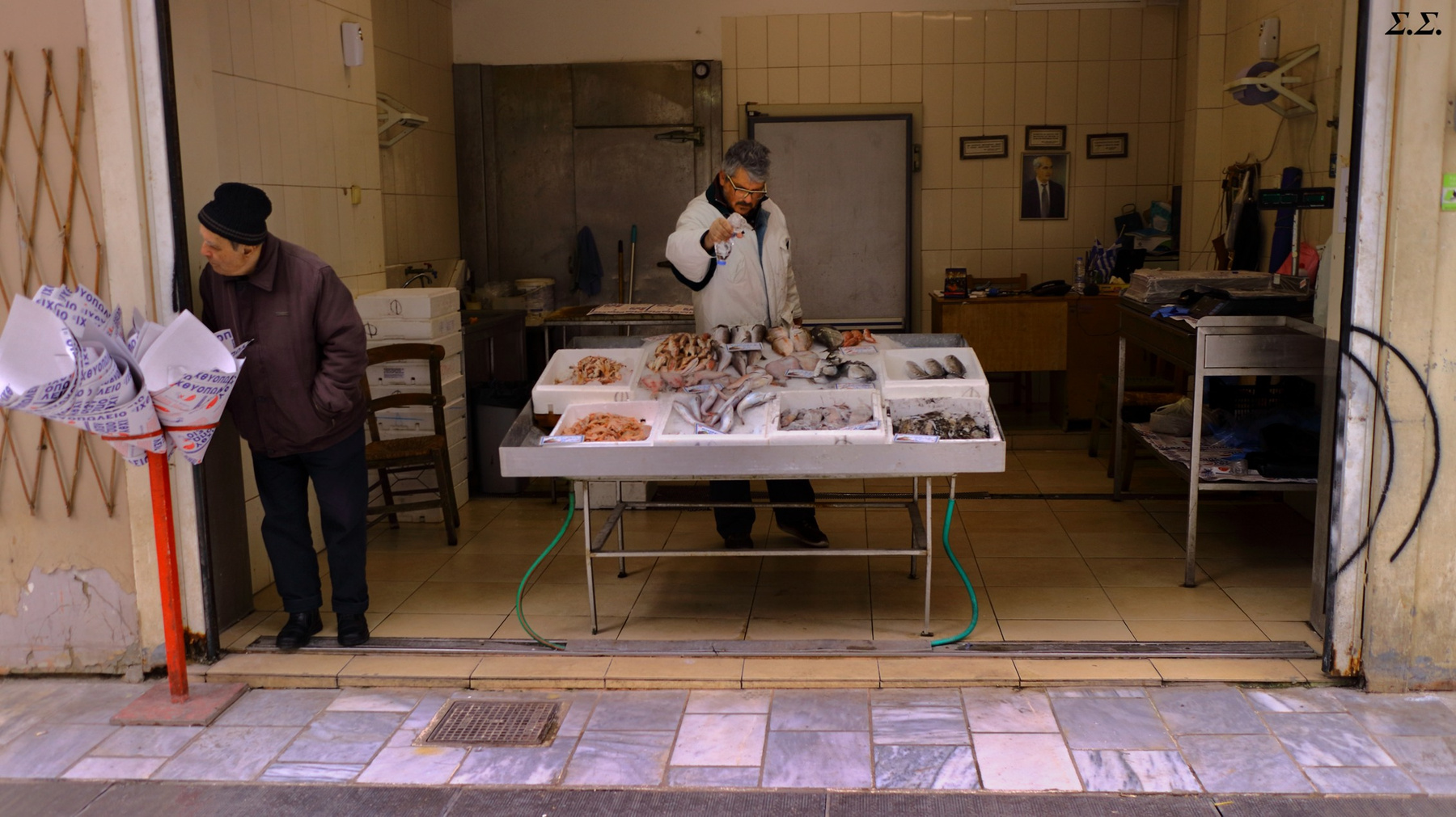 FISH TRADING 