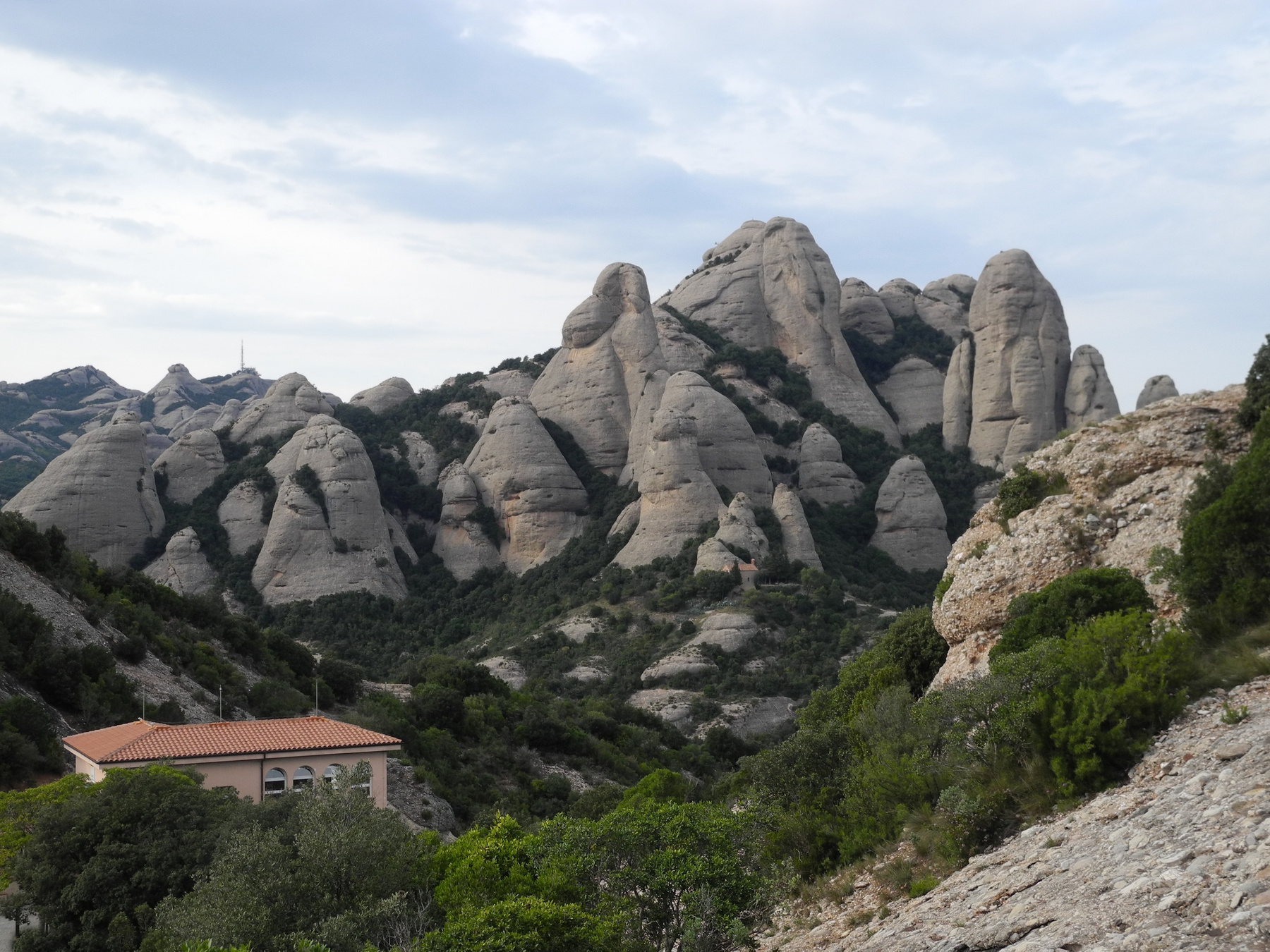 Montserrat. Слоники... Обезьянки... ) 
