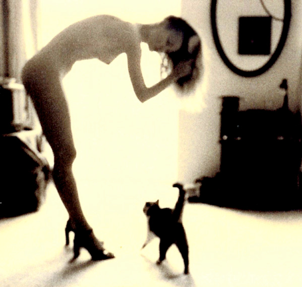 Two cats nude
