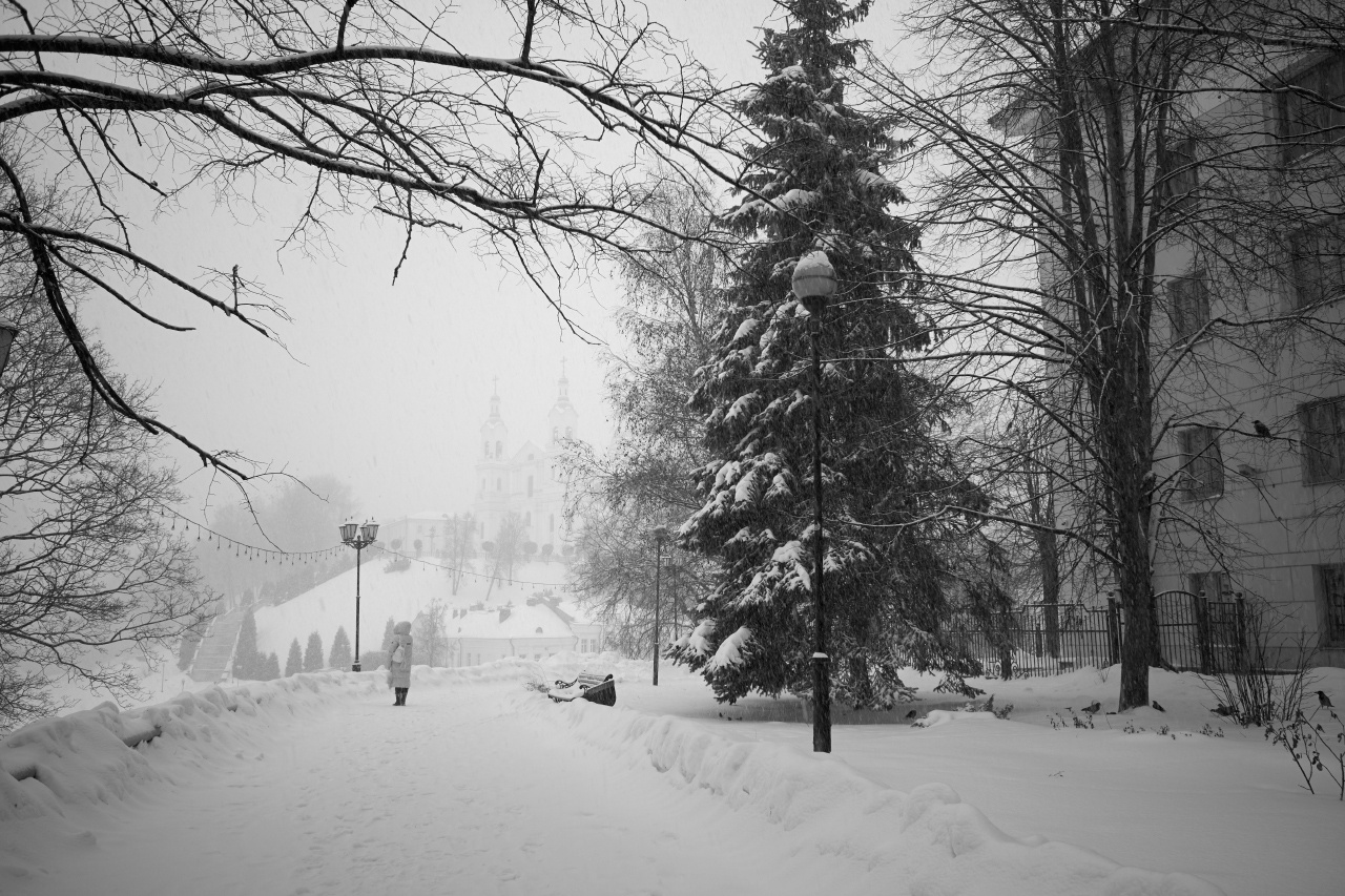 ч/б снегопад снег деревья здания человек