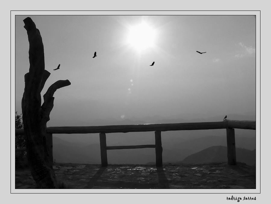 silence (Brazil) - [reloaded] Brazil Бразилия silence безмолвие sunset заход солнца birds птицы