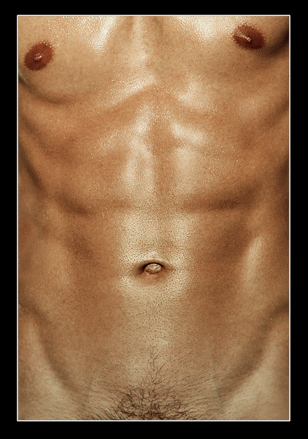 torso 