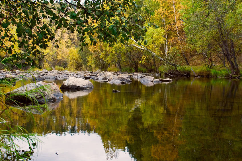 Все краски осени 