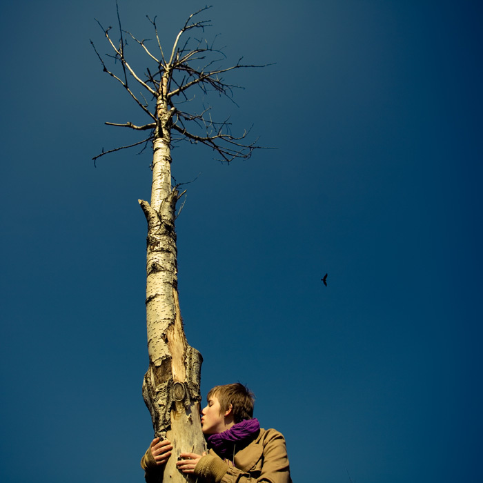 tree and bird 