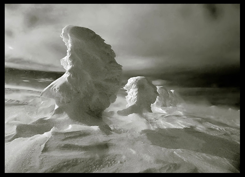 Winter Portraits 