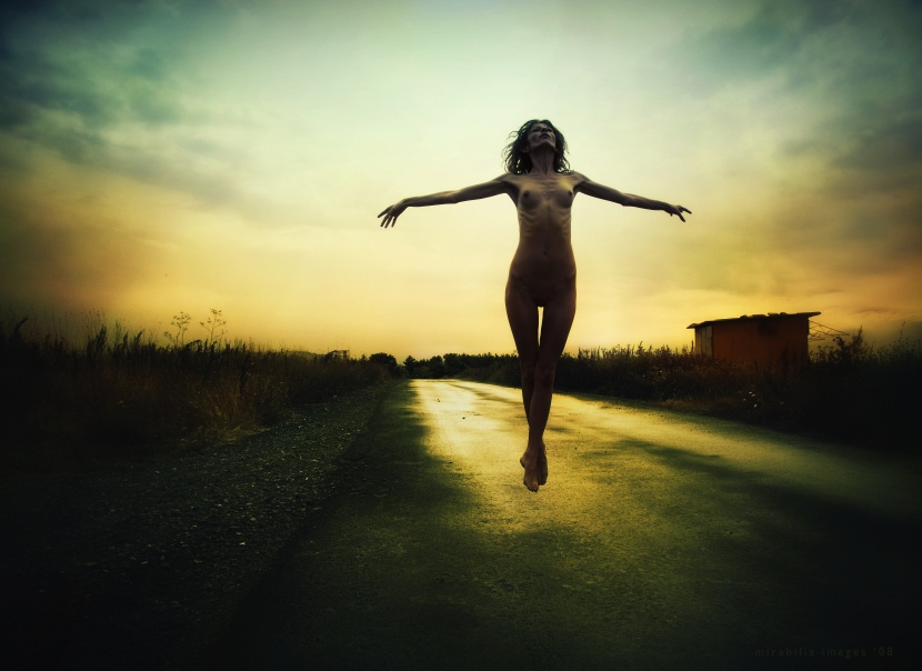The Flight 
