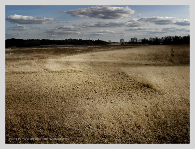 landscapes series, spring coming Vidas Biveinis landscape