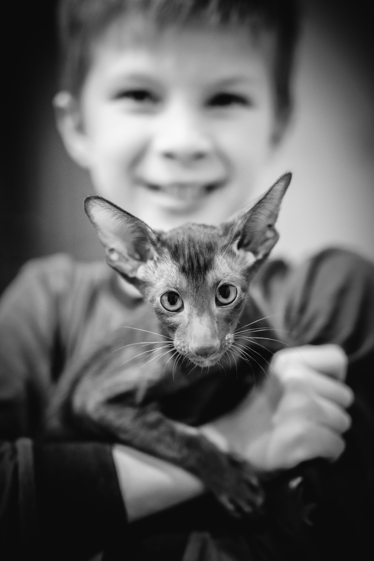 Кот 