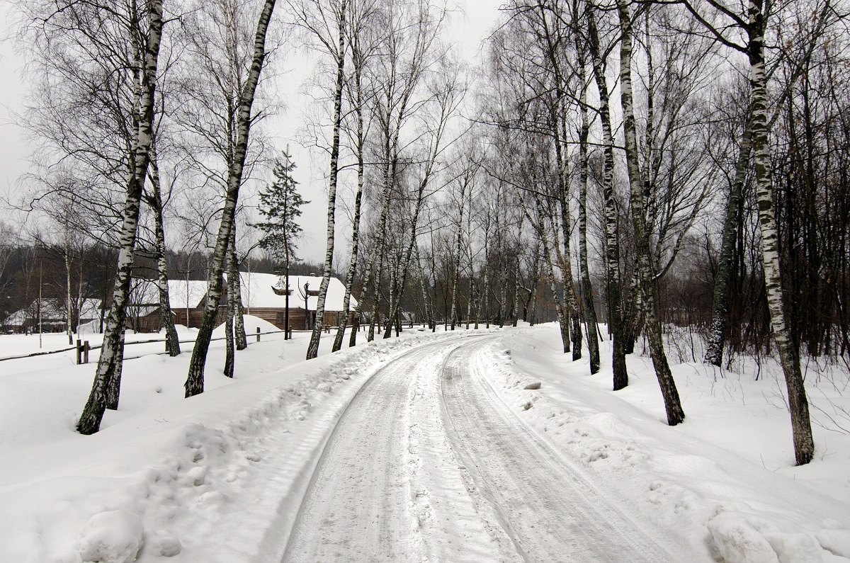 Зимняя дорога. пейзаж