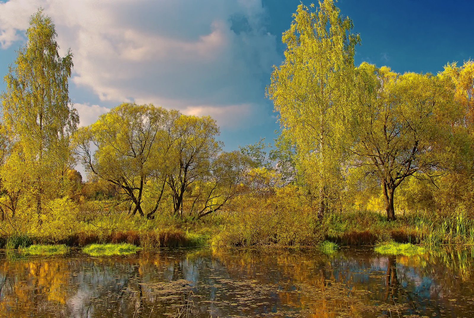 Речка осень