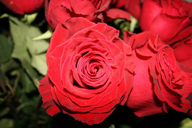  roze 