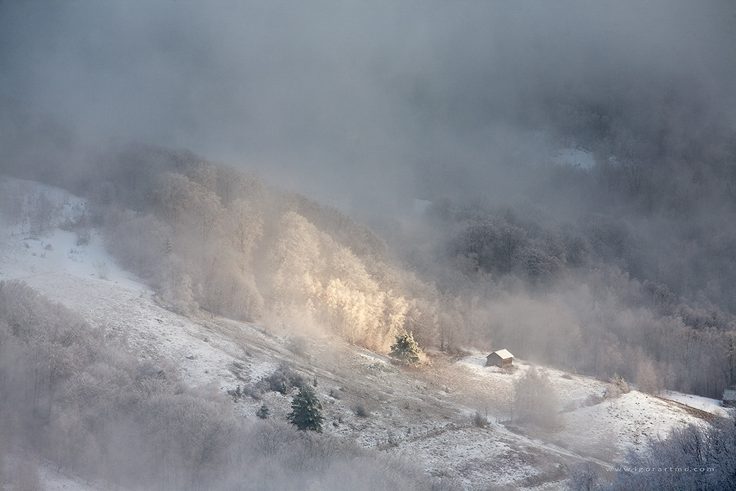 fog mistery 2 