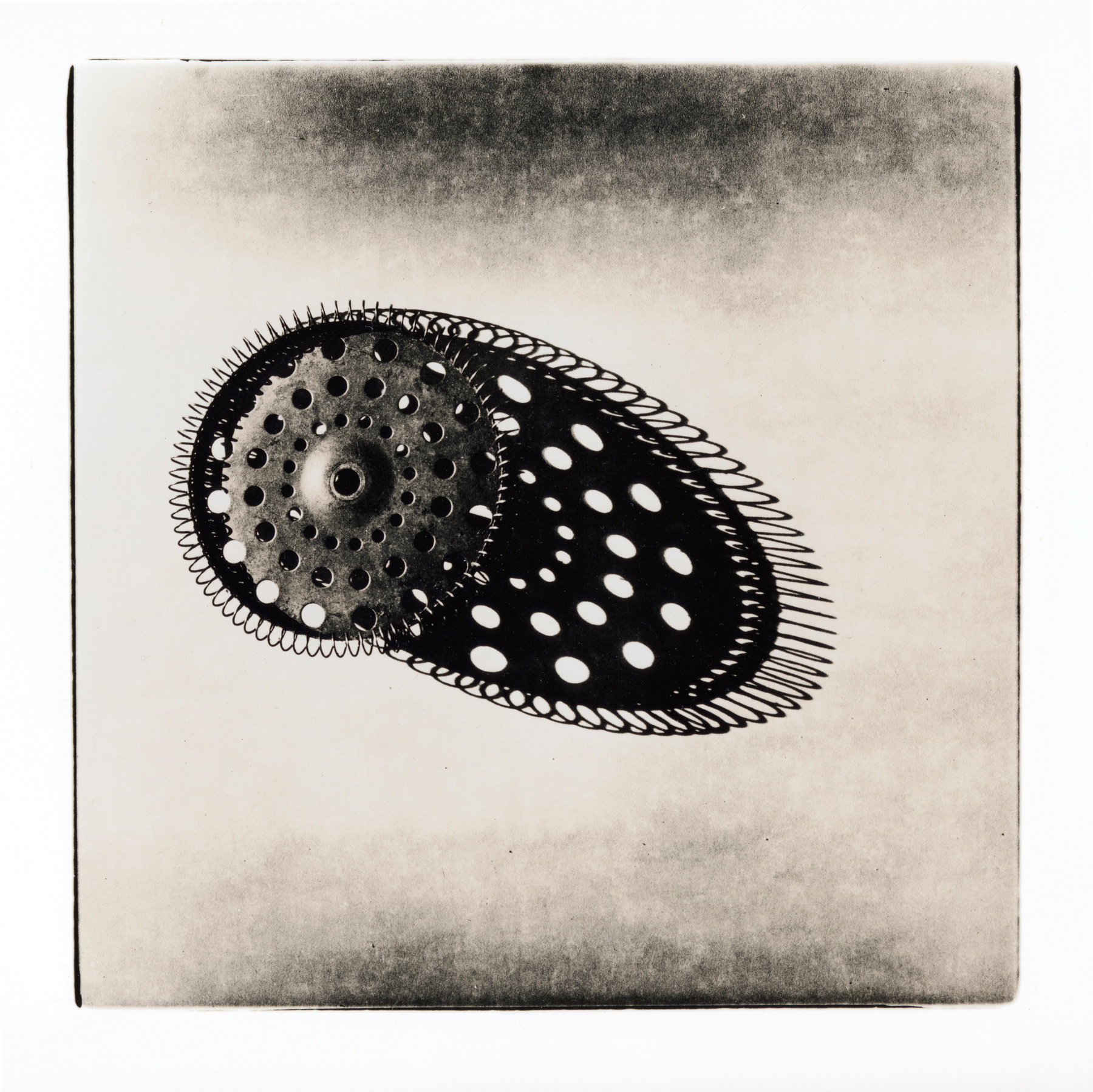 Вещи и Тени Lith print