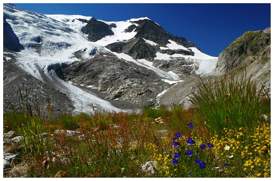 Steingletscher 