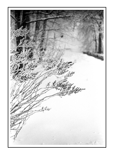 russian winter - 2 