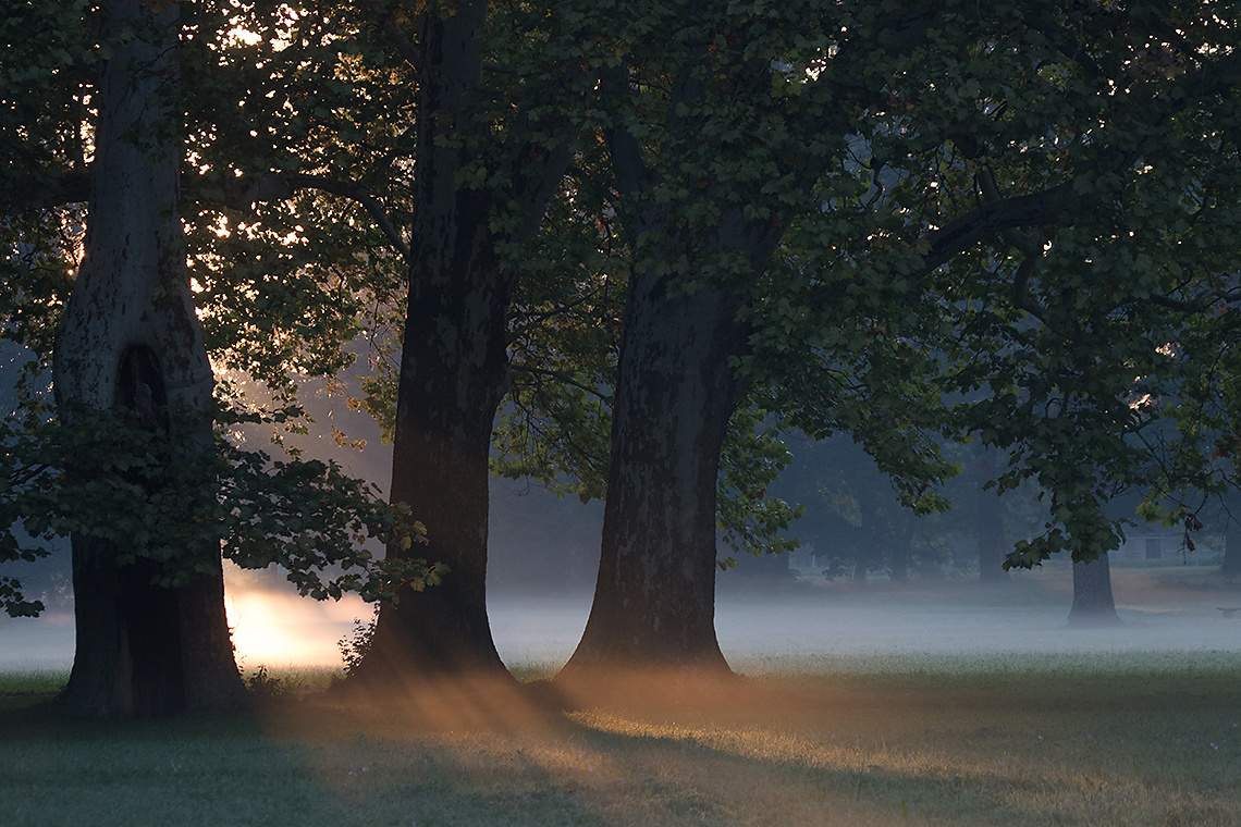 Autumn 