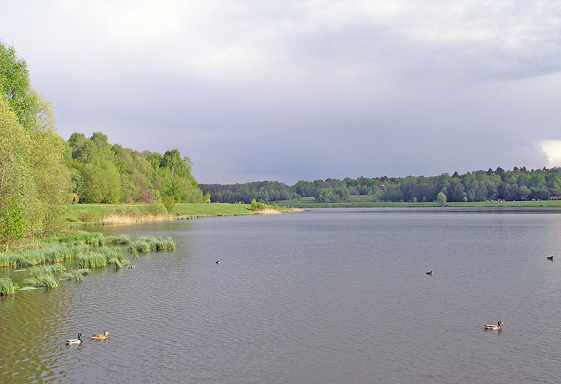 Перед грозой озеро вода гроза лес