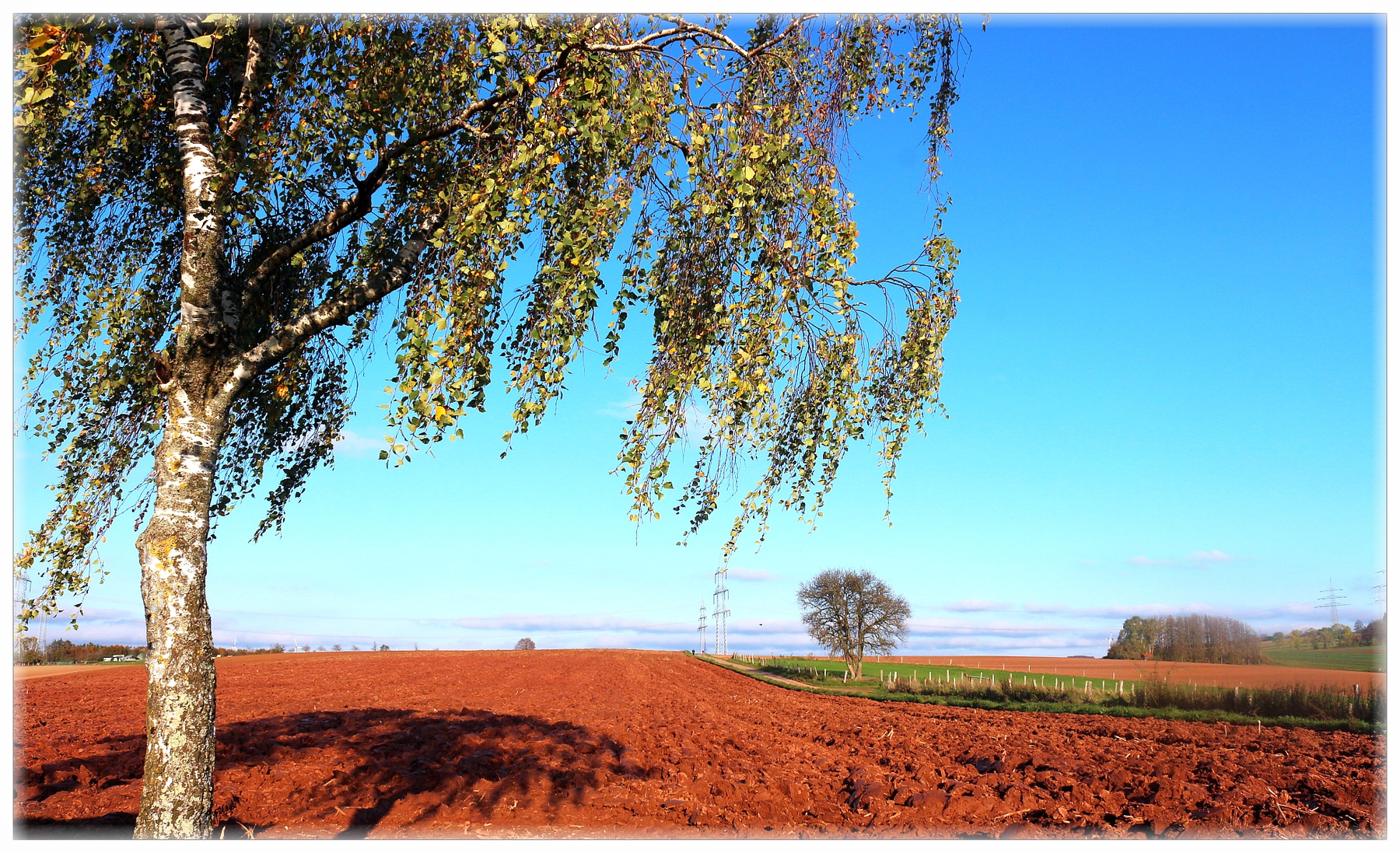 *** Germany landscape