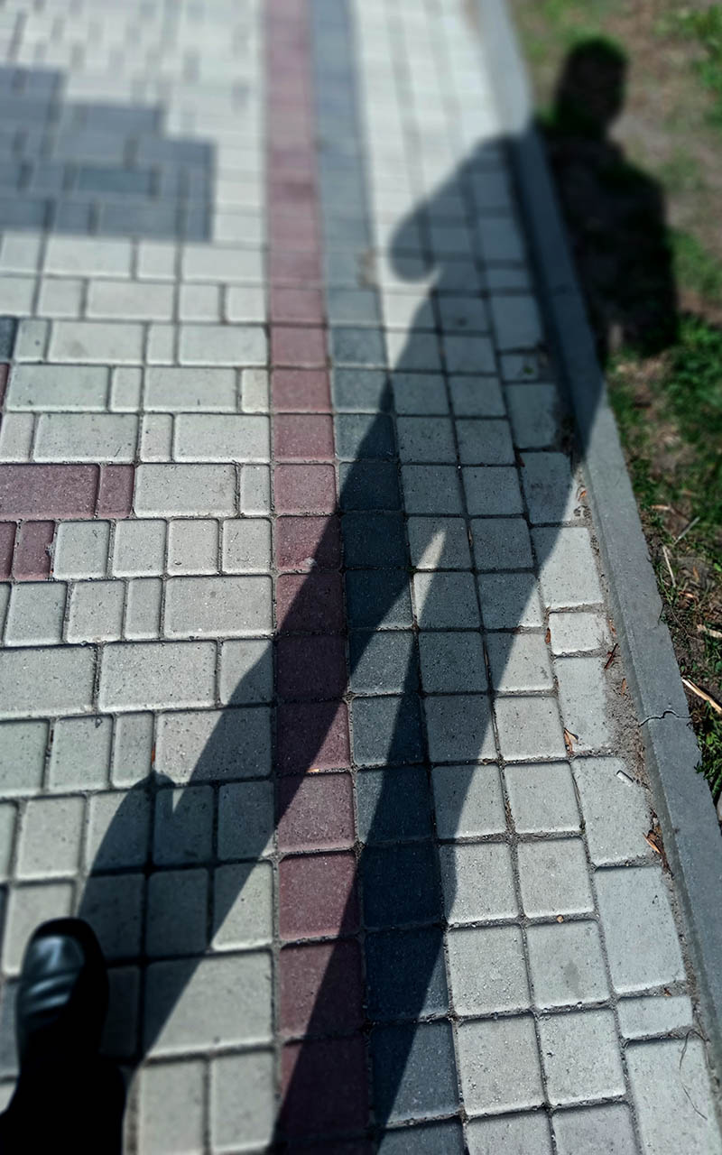 Автопортрет. тень аллея мобильное фото
