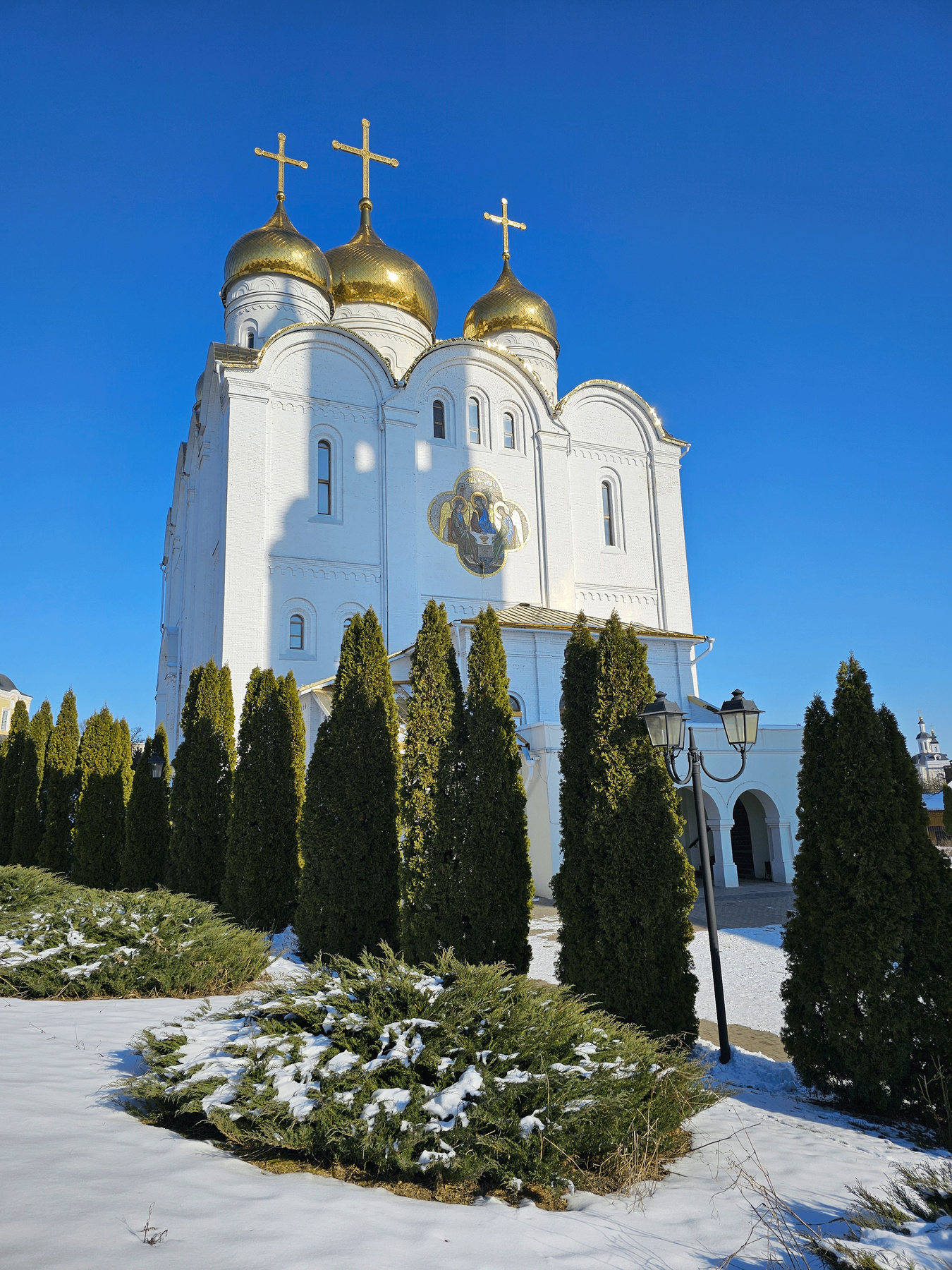 В Брянске 