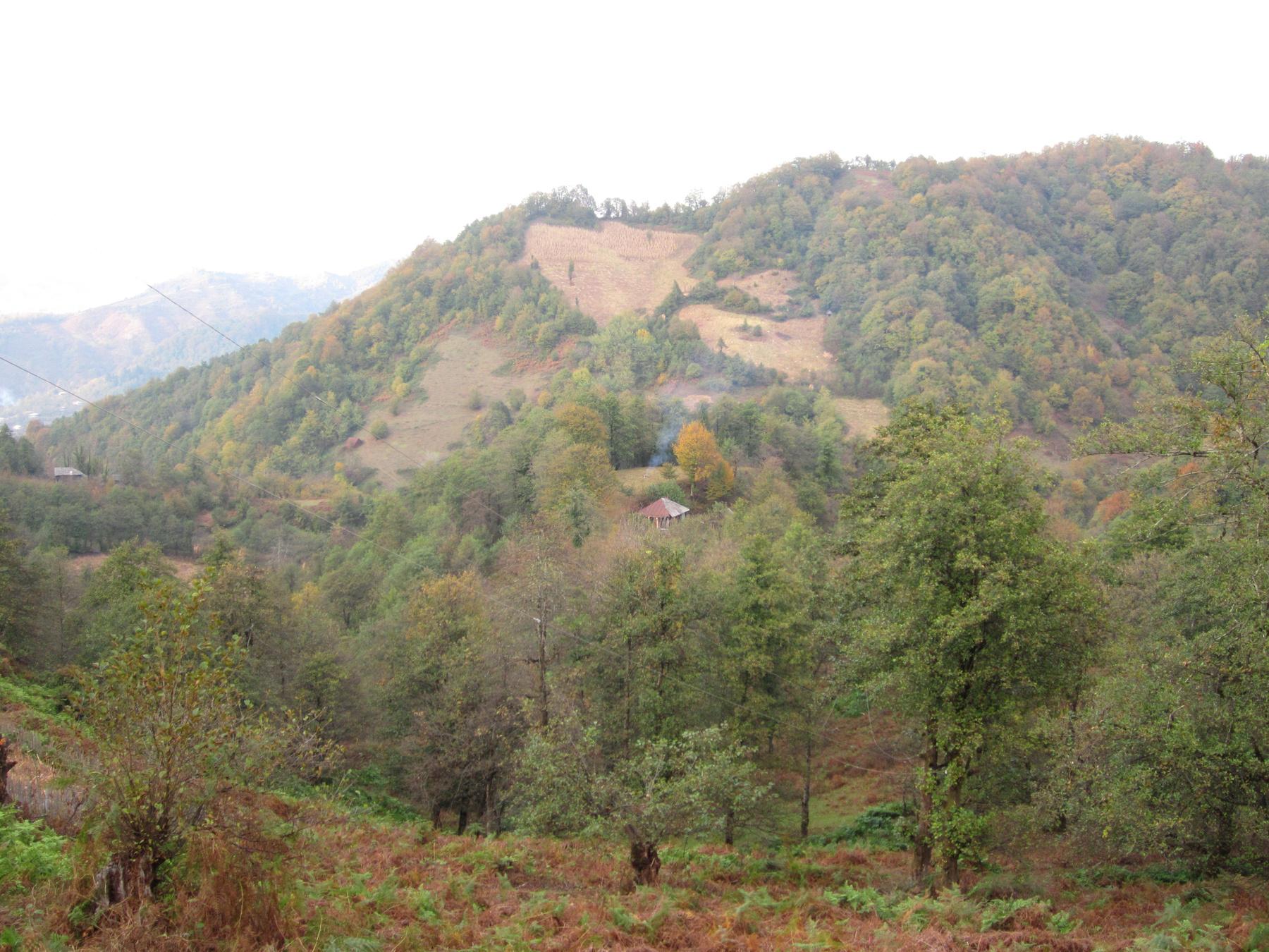 *** Erketi Guria Travel Georgia Грузия Гурия Природа