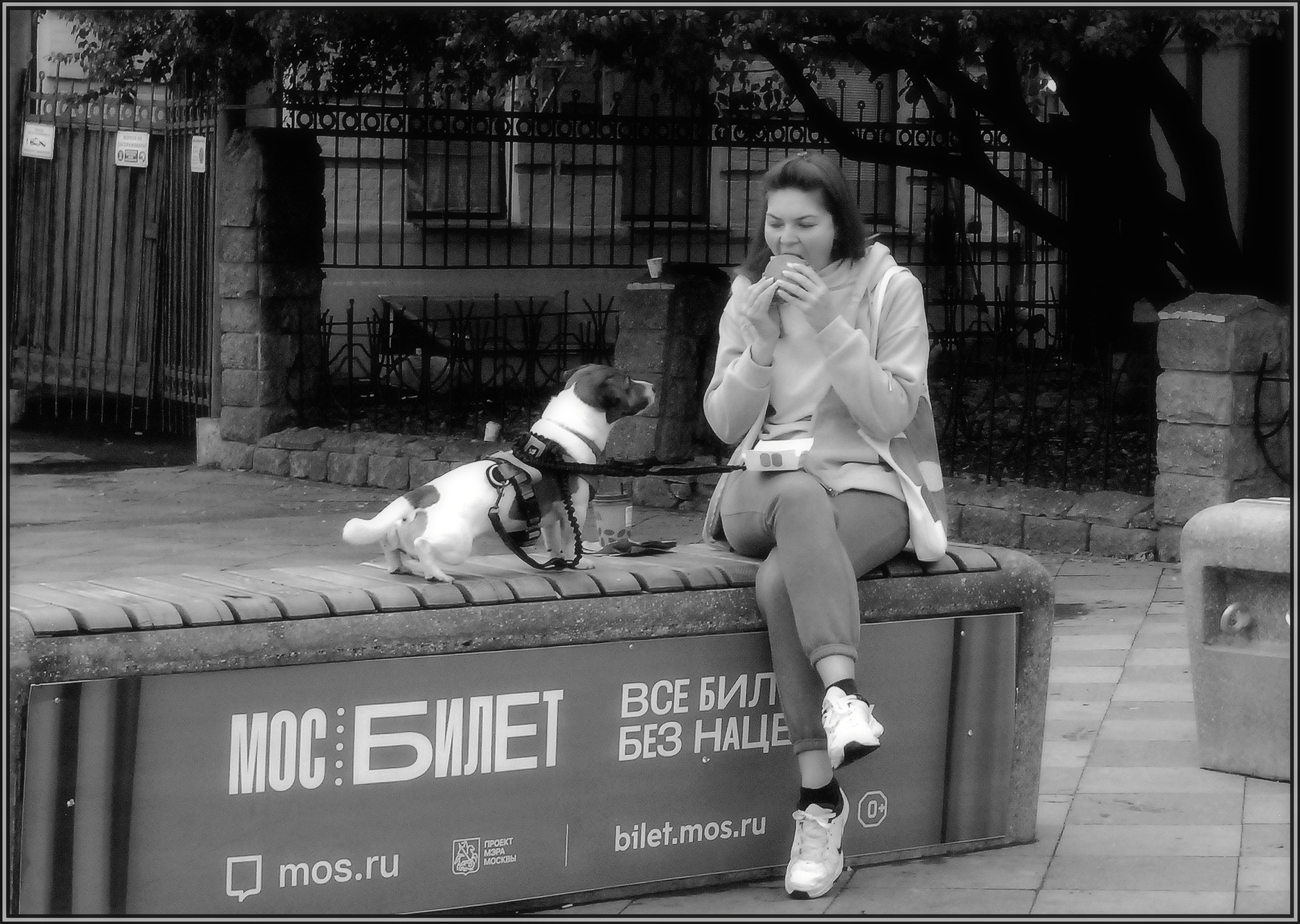 ..... - Ну хоть кусочек !.... улица люди события