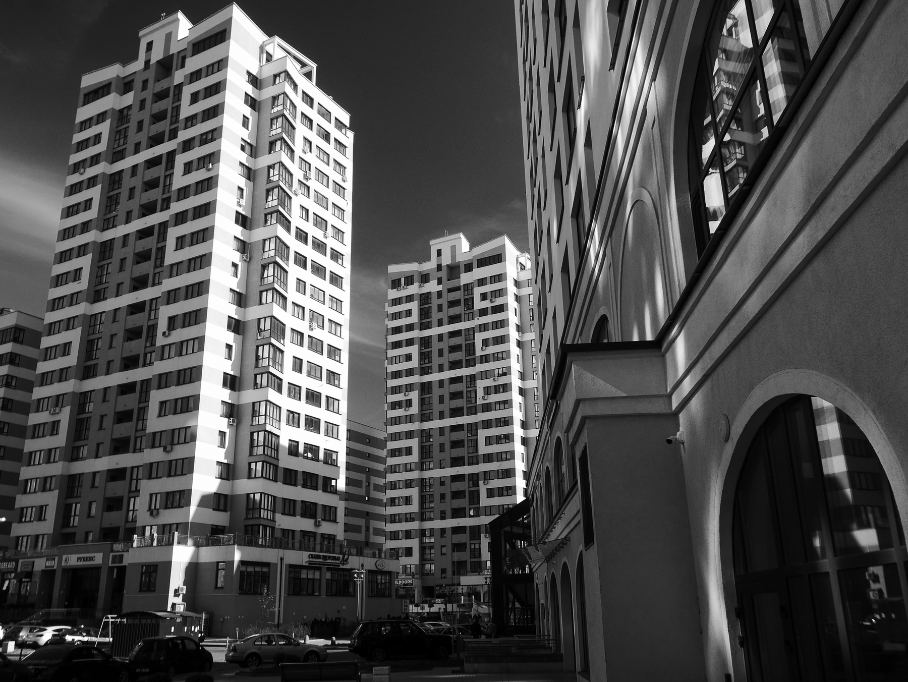 Каменные джунгли 