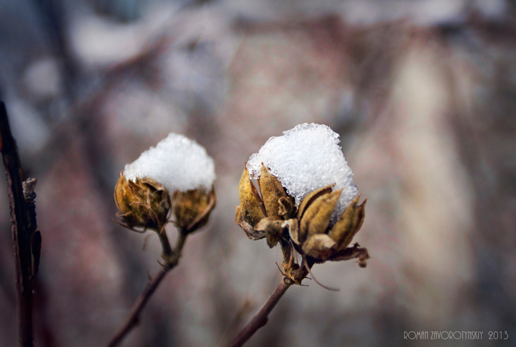 *** http://vk.com/rmz_photo