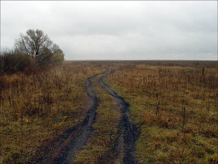 чернозём 
