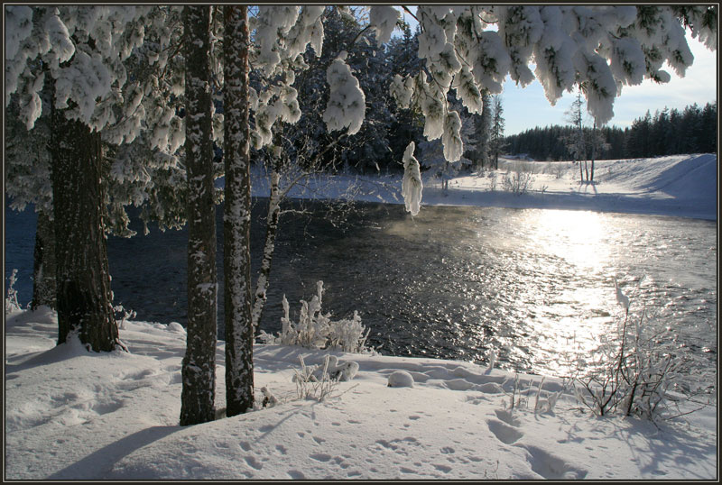 У реки зима, река,лес