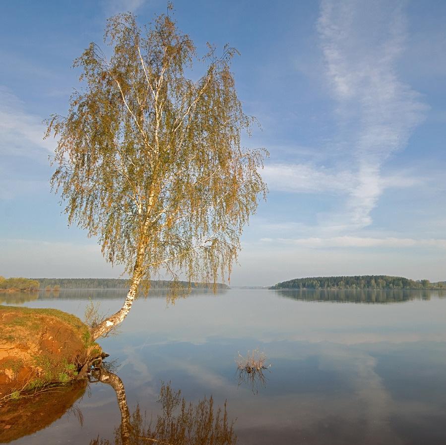 Весна на Озернинке весна, утро, озеро, дымка