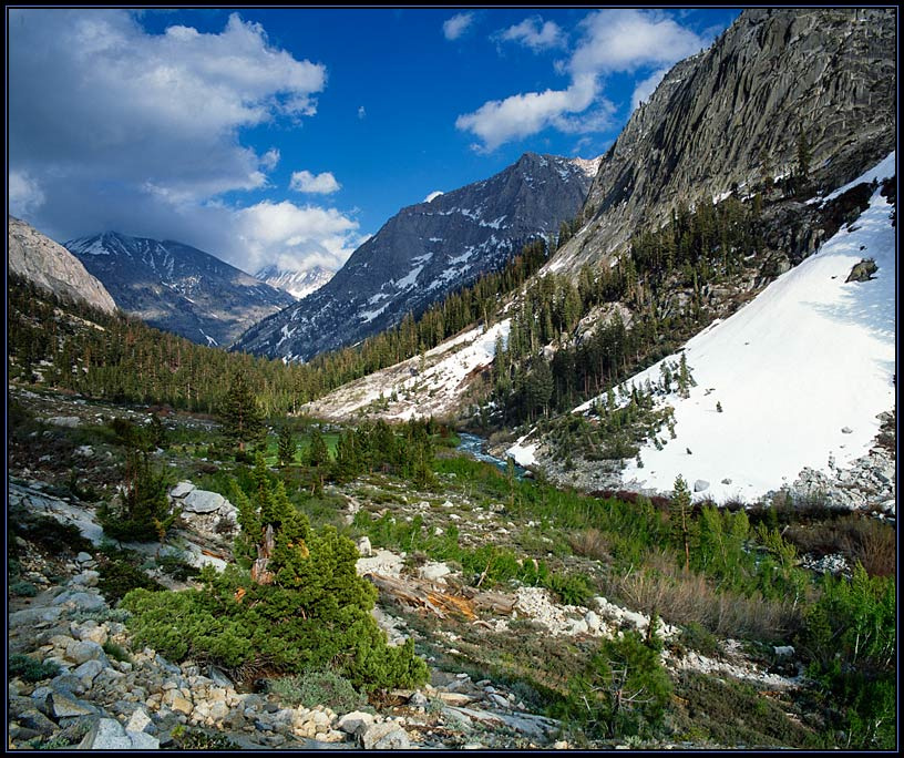 Paradise Valley 