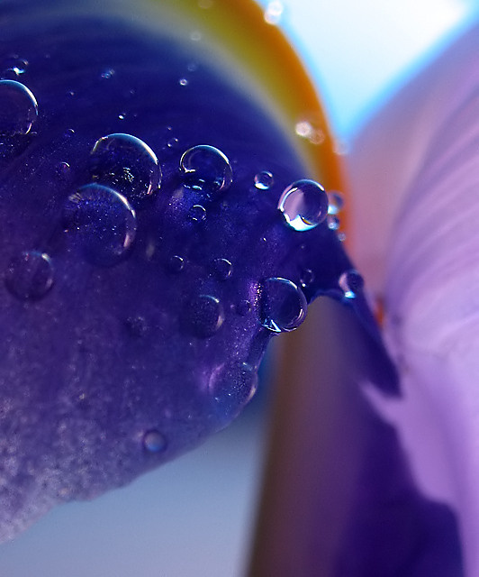 Ultra-violet morning вода