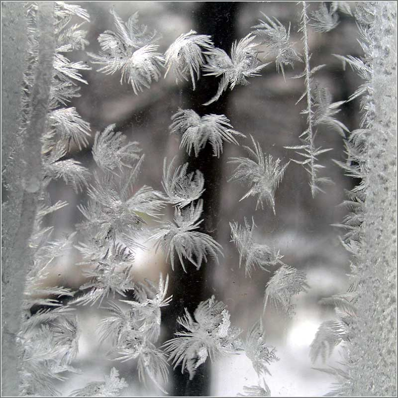 Снежные птички снежинки, зима, окно