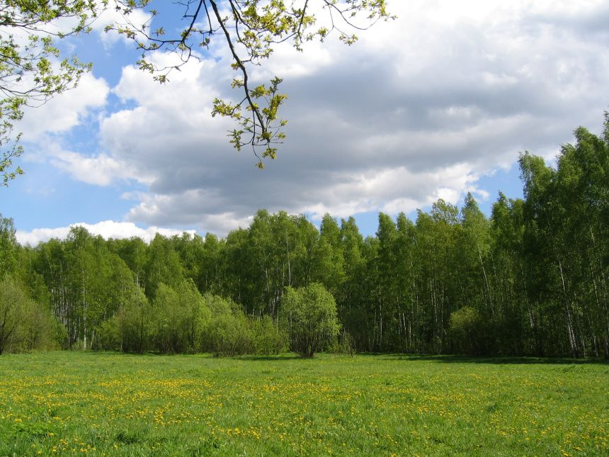Московский пейзаж лосиный остров