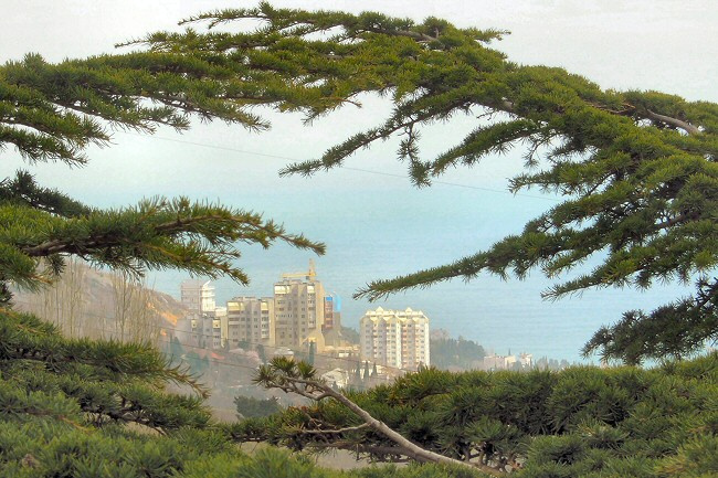 Гурзуф Крым Гурзуф море