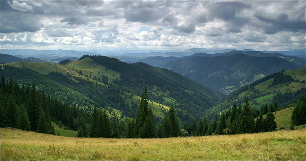 Карпатская, поднебесная 