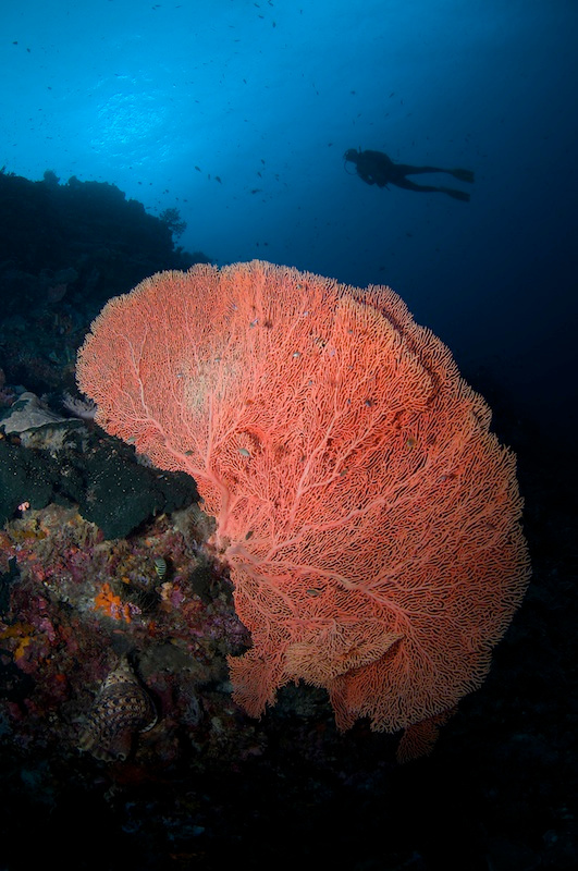 sipadan02 