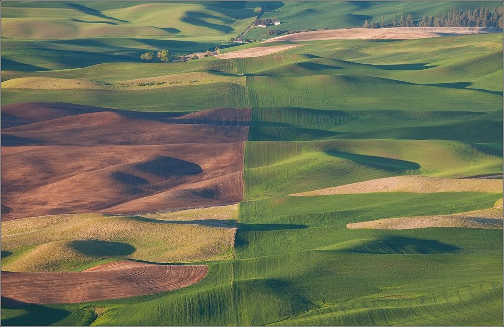 Развод и девичья фамилия ! Palouse Washington
