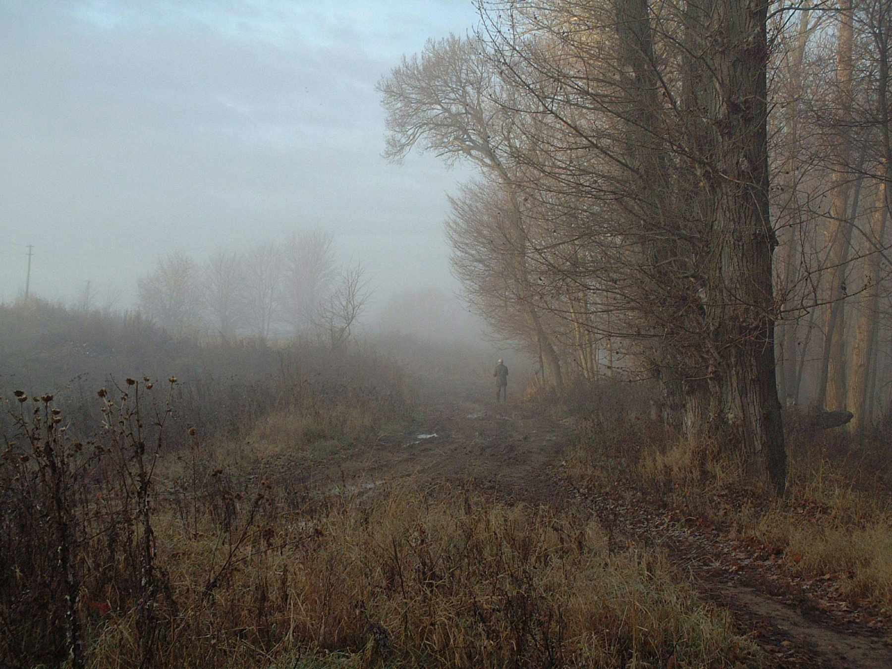осень 