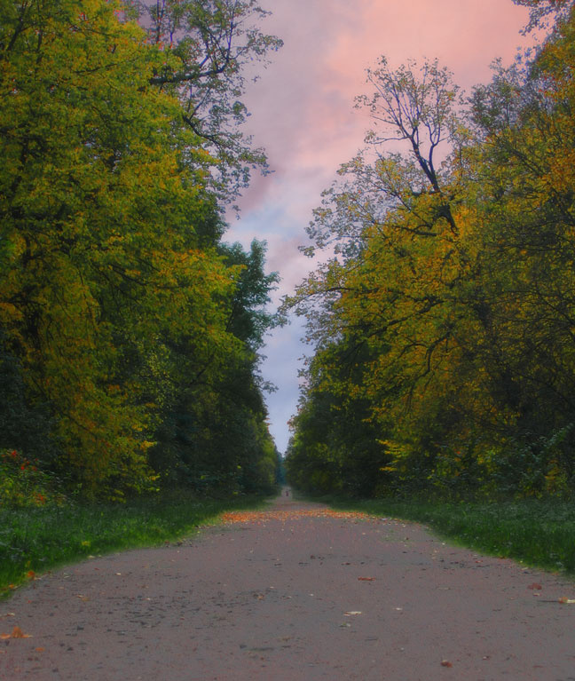 . . . осень парк дорога листья
