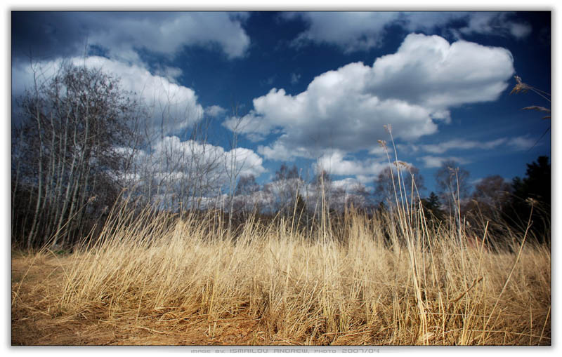 Жаркий день Russia Nature Nikon D80 Россия Природа aklerk