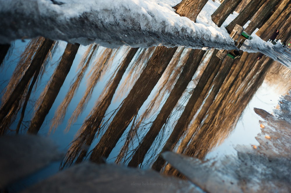 *** reflection