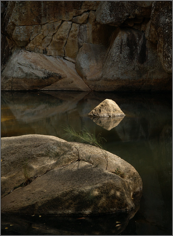 Про маленький зеленый кустик Lower Portals Mt.Barney Queensland Australia