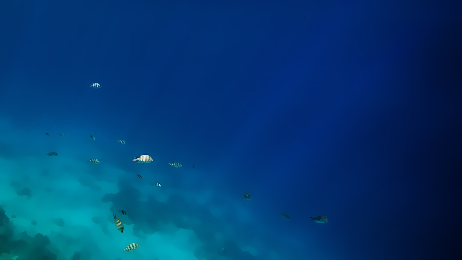 и почему это море - Красное? 
