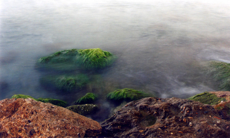Утро Море, камни, вода