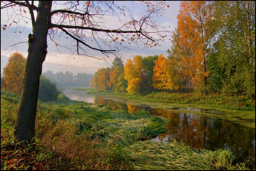 На рассвете 