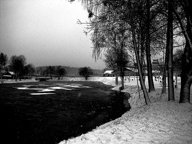 Black-white winter тишина снег зима