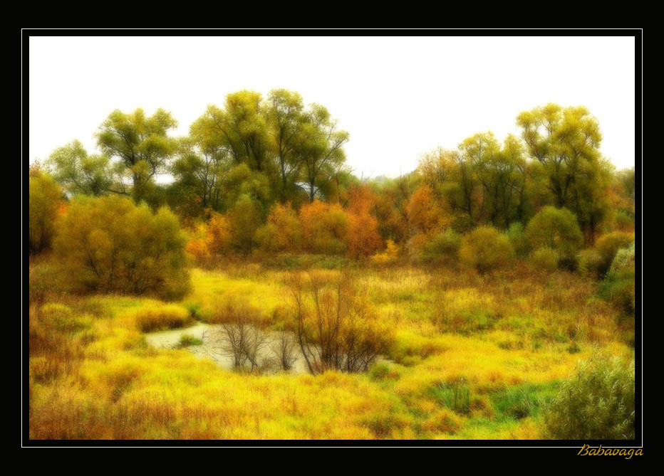 Ласковый шелест красок осених... осень